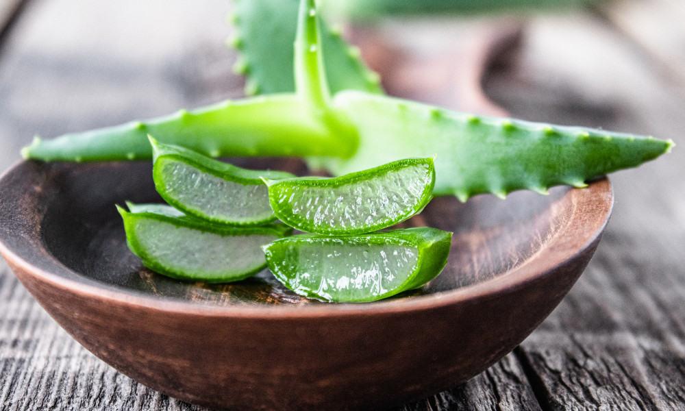 quali sono i benefici dell'aloe vera